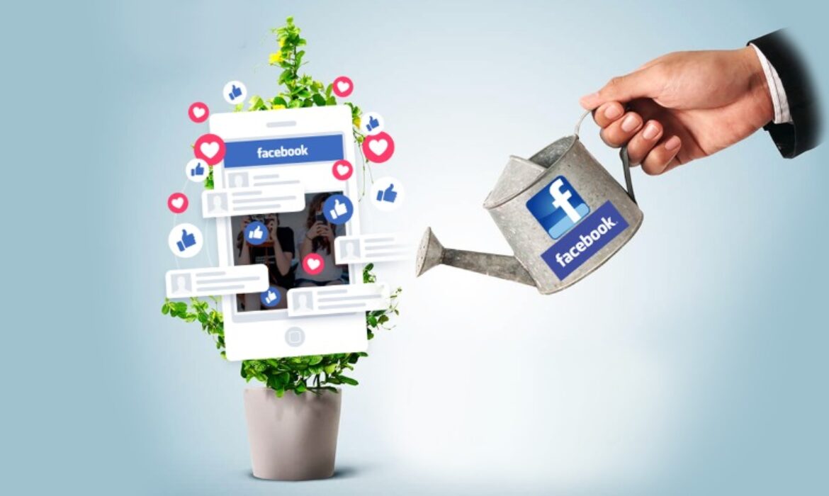 How to increase reach on Facebook organically? 13 easy solid ways to boost your Facebook reach organically that really works.